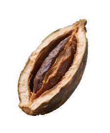 Flavored Wet Betel